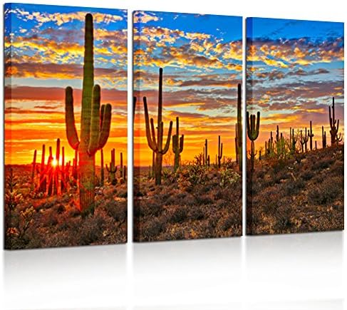 Kreative Arts - Nagy 3 Darab Vászon Wall Art Gyönyörű Naplemente Táj Nemzeti Park Arizona-Sonora Sivatagi Kaktusz Kifeszített