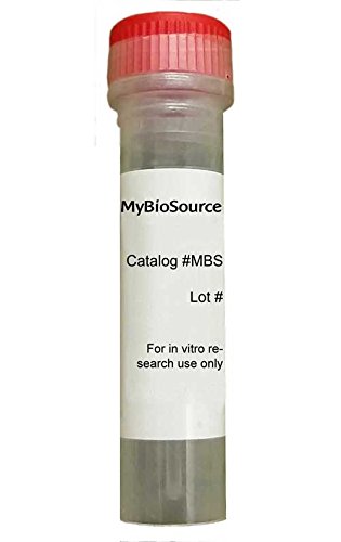 Rekombináns Glycine max Kataláz-3 (CAT3) (Rekombináns Fehérje)