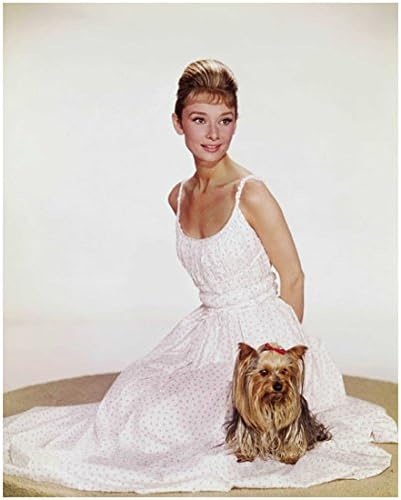 Audrey Hepburn Pózol, a Kutya is a Rózsaszín Pöttyös Ruha 8 x 10 Fotó