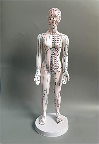 48Cm Női Akupunktúra Modell az Emberi Test Meridián Pontok, Magas Quatity Emberi Meridian Modell, az Emberi Akupunktúra Modell