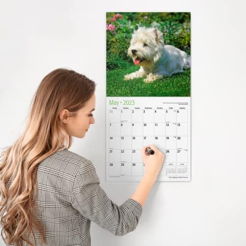 PIROS PARÁZS West Highland White Terrier 2023 függeszthető kivitel Havi Fali Naptár | 12 x 24 Nyitva | Vastag & Erős Papír